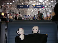 �e�R�f�R���s�L���J�i�_