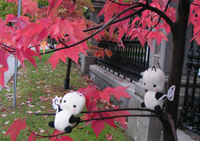 �e�R�f�R���s�L���J�i�_