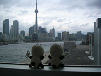 �e�R�f�R���s�L���J�i�_