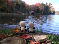 �e�R�f�R���s�L���J�i�_