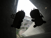 �e�R�f�R���s�L���J�i�_