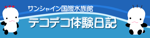 �T���V���C�����ې����فF�e�R�f�R�̌����L